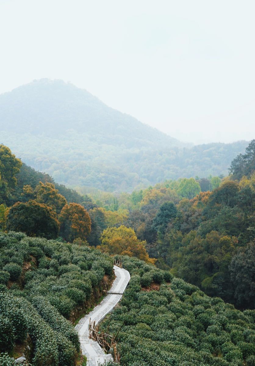 【携程攻略】浙江湖州德清莫干山莫干山景区好玩吗,怎