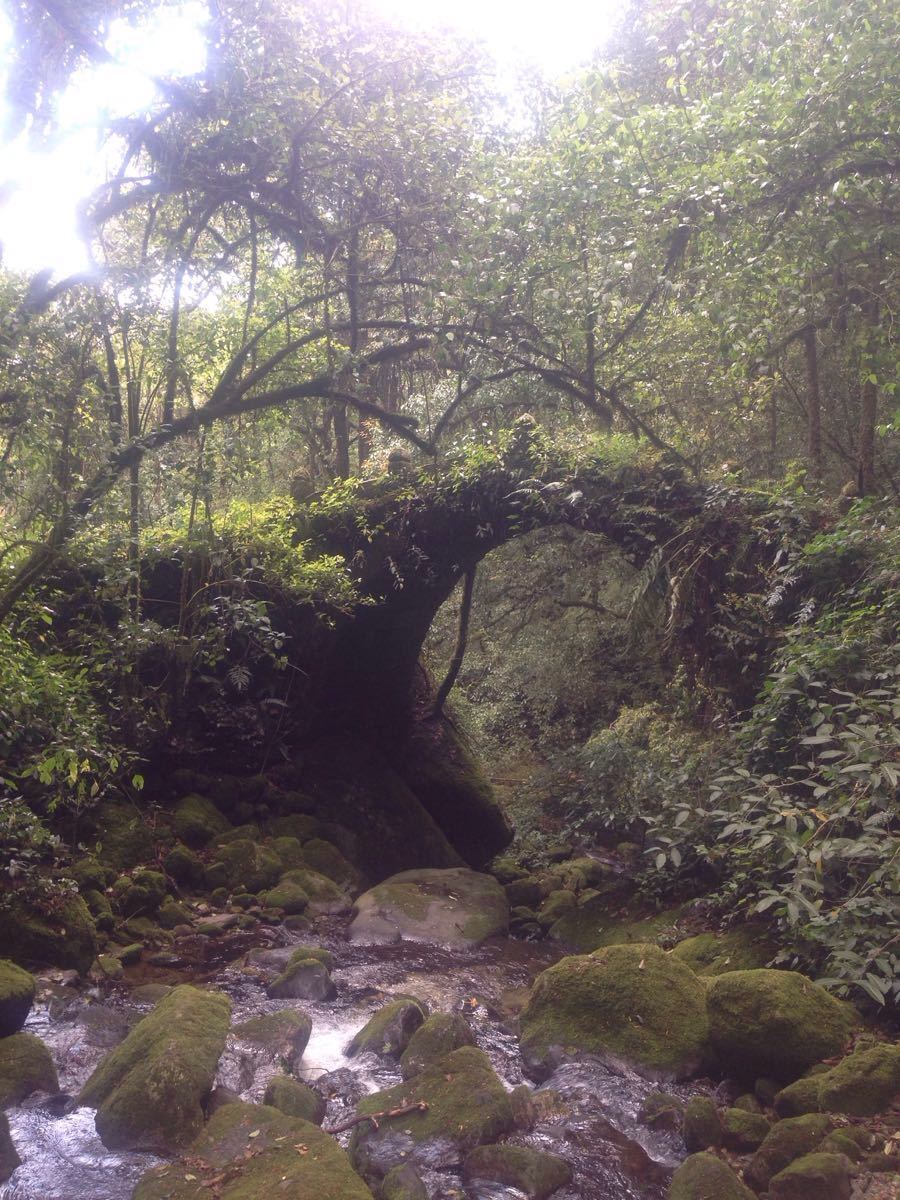 百花岭生态旅游区旅游景点攻略图