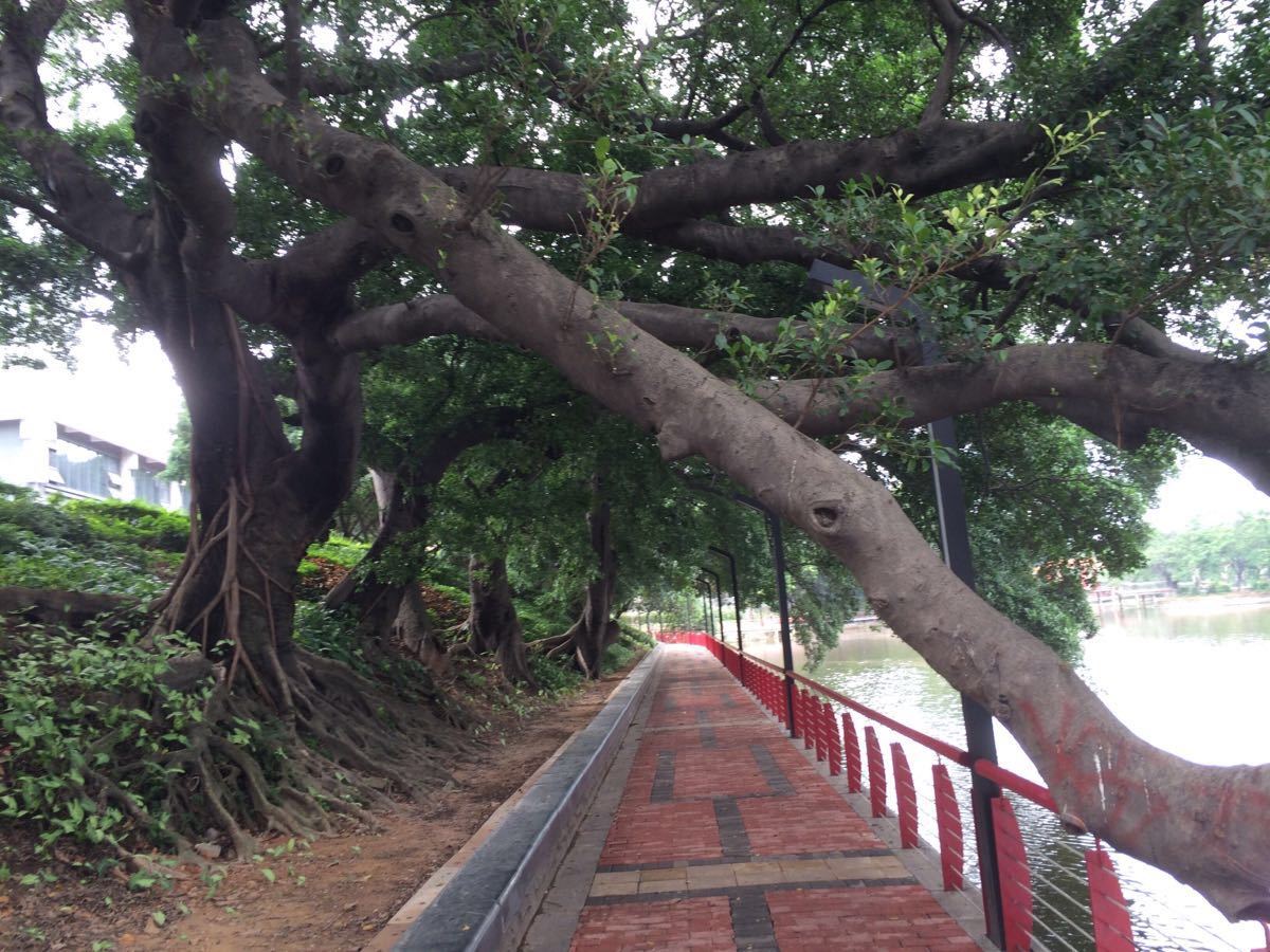 石湾公园旅游景点攻略图