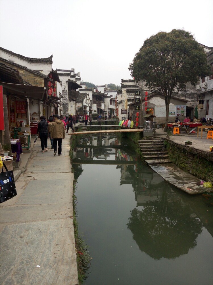 2019李坑_旅游攻略_门票_地址_游记点评,婺源旅游景点