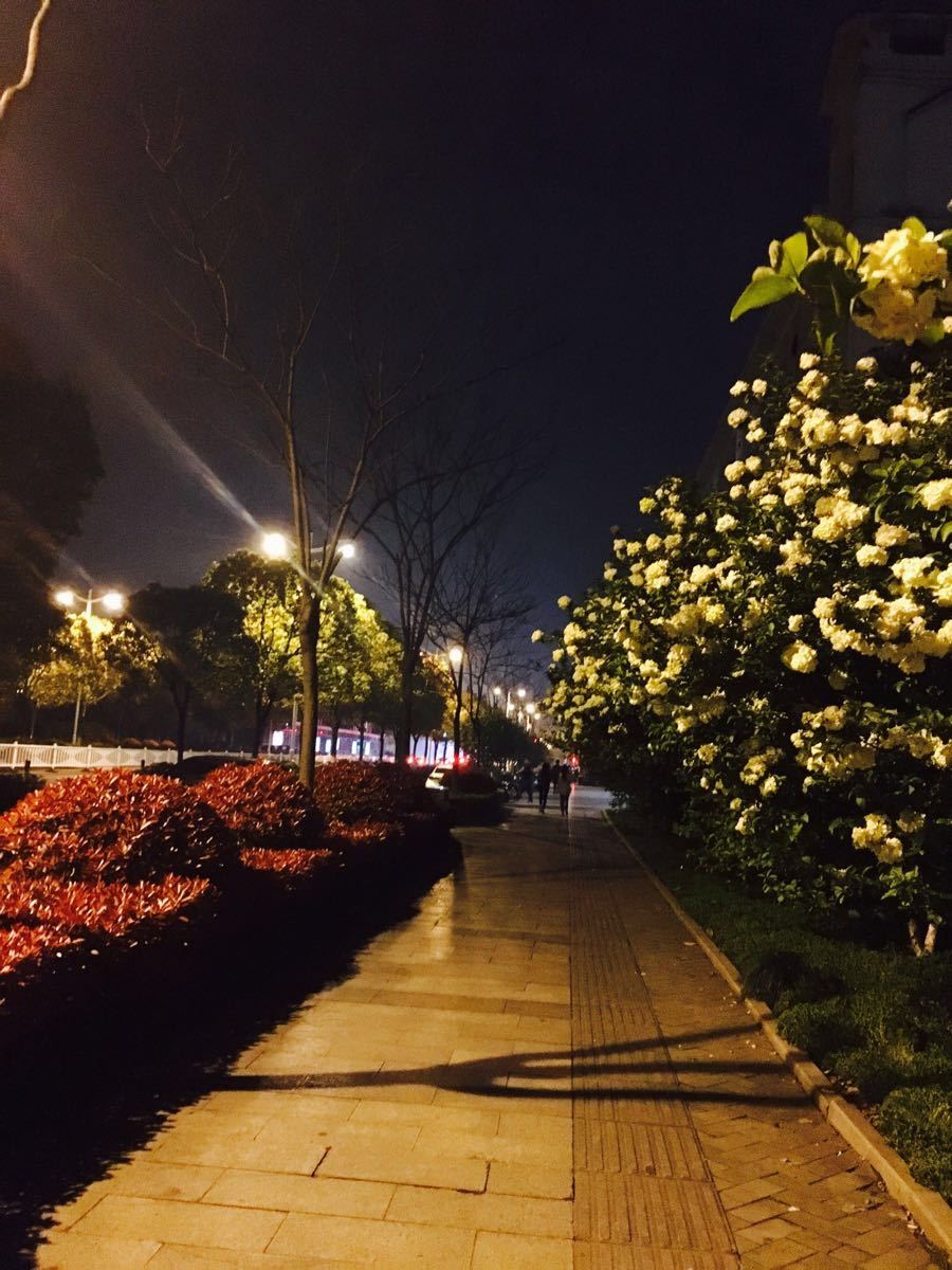 下沙大学生夜市