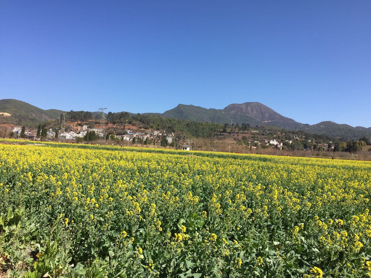 金色螳螂川风景区