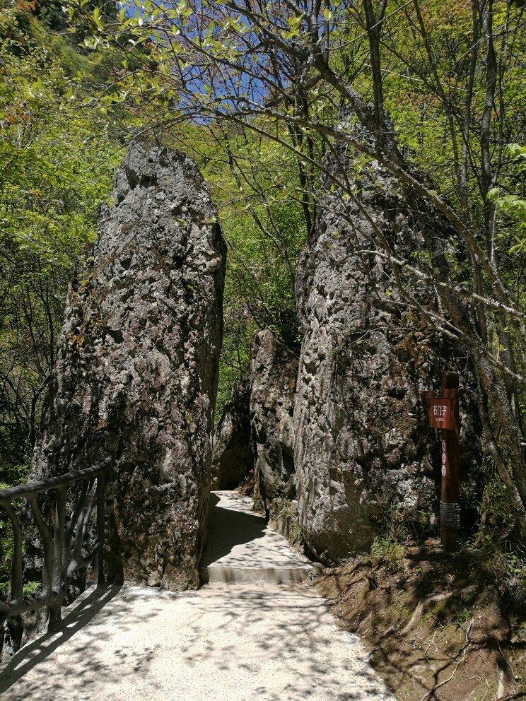 南宫山国家森林公园