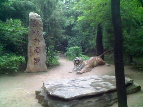 2019景阳冈_旅游攻略_门票_地址_游记点评,聊城旅游景点推荐 去哪儿