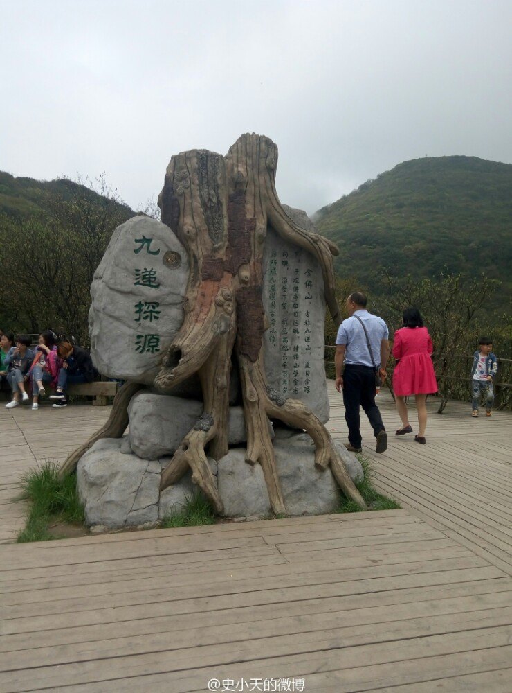 南川区金佛山好玩吗,南川区金佛山景点怎么样_点评