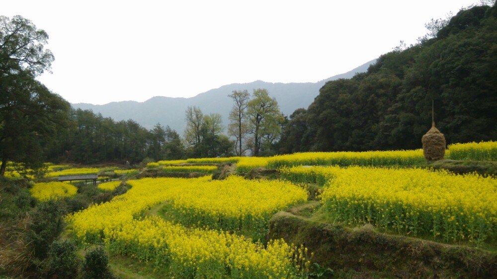 江岭景区