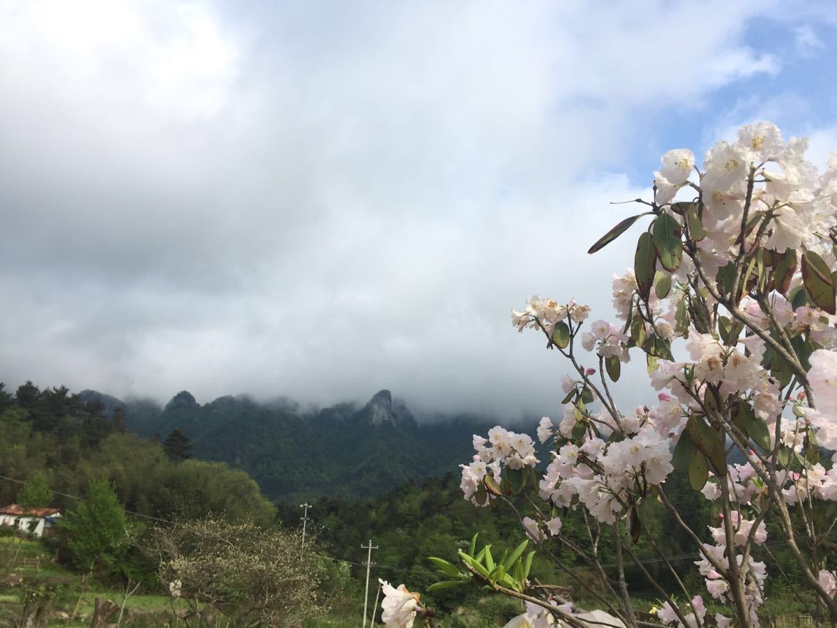 马鬃岭自然保护区旅游景点攻略图