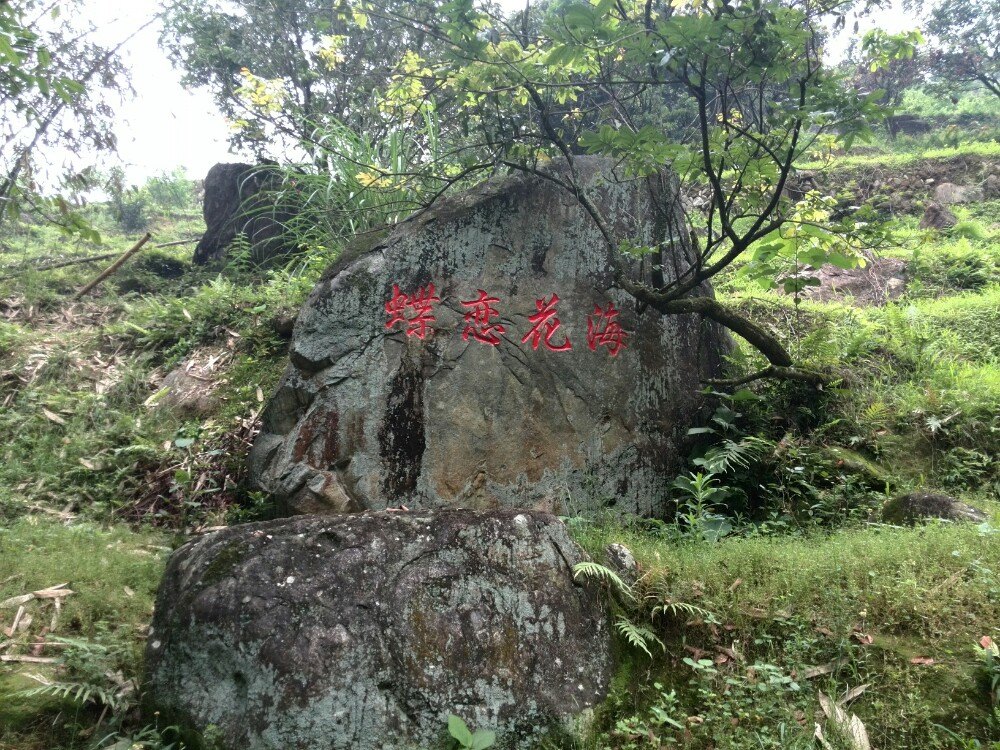 长泰鼓鸣岩风景区