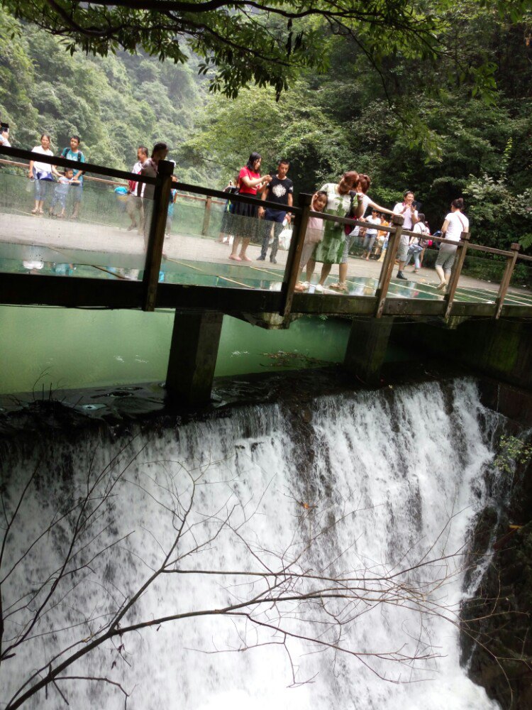 张家界大峡谷