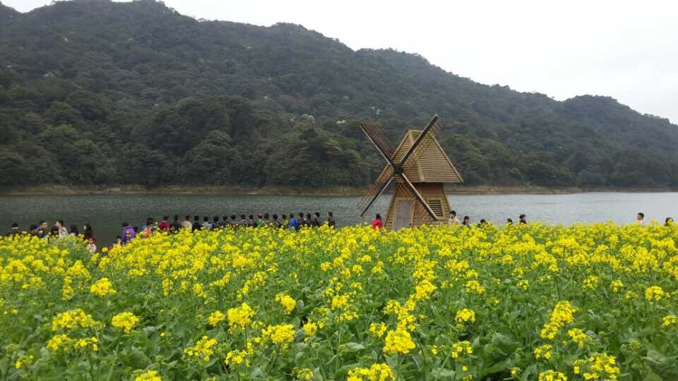 石门国家森林公园