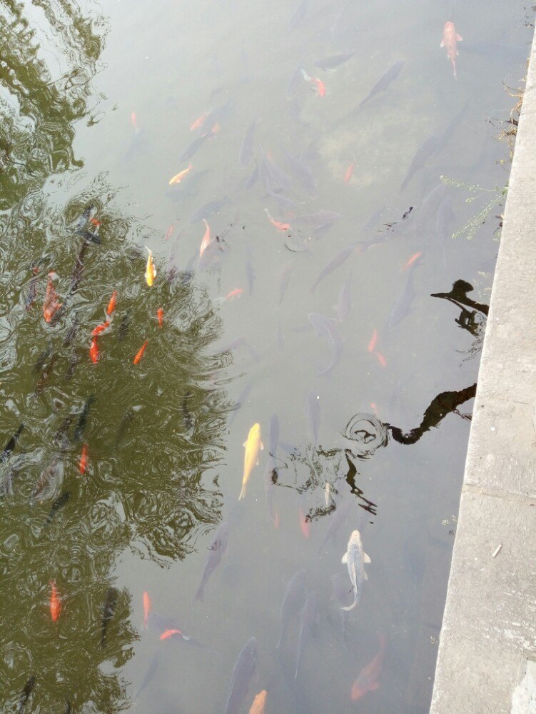华欣旅游攻略指南? 携程攻略社区! 靠谱的旅游攻略平台,最佳的华欣自助游、自由行、自驾游、跟团旅线路,海量华欣旅游景点图片、游记、交通、美食、购物、住宿、娱乐、行程、指南等旅游攻略信息,了解更多华欣旅游信息就来携程旅游攻略。