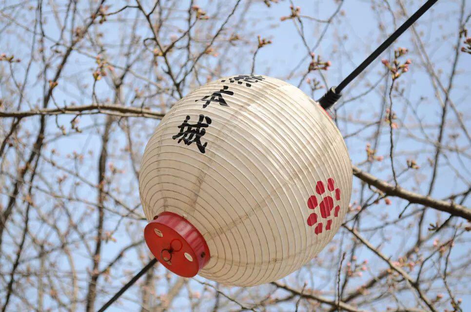 【携程攻略】九州熊本城景点,熊本城 登古城 赏樱花 还有很多展览看