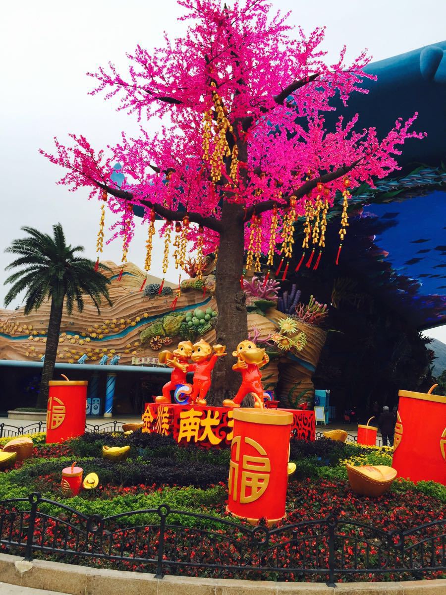 珠海长隆玩具|【携程攻略】广东珠海珠海长隆