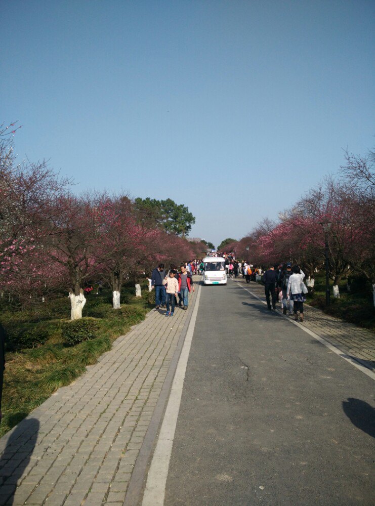 超山风景区旅游景点攻略图