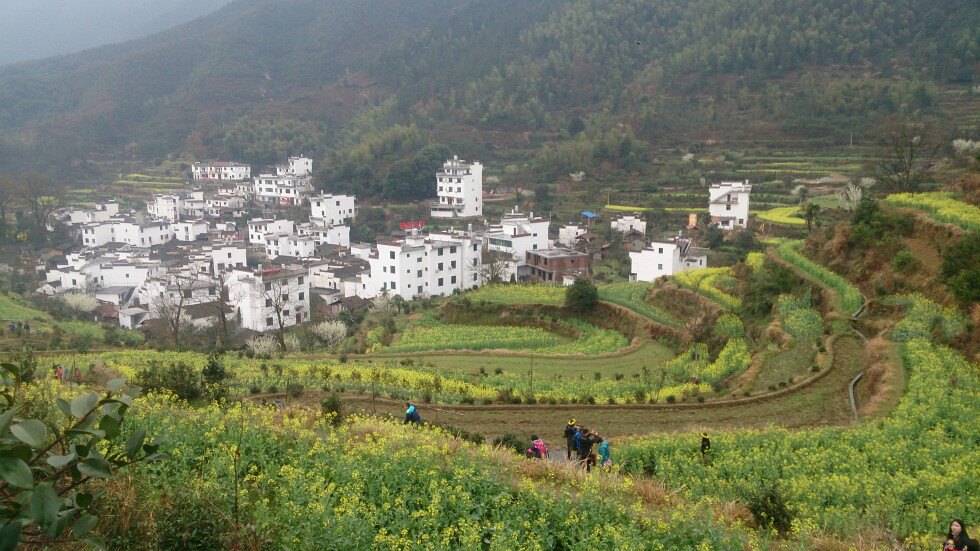 江岭景区