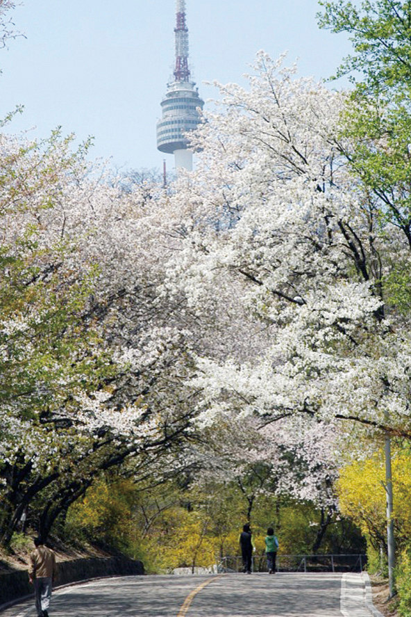 首尔南山公园攻略,首尔南山公园门票/游玩攻略/地址