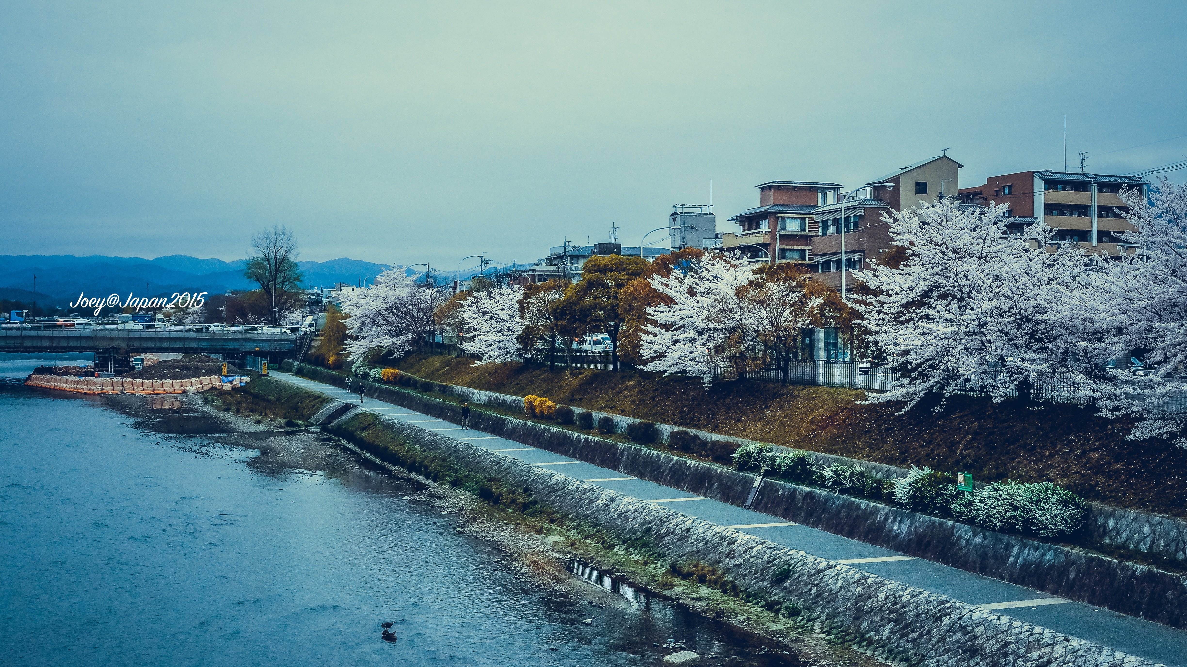 鸭川