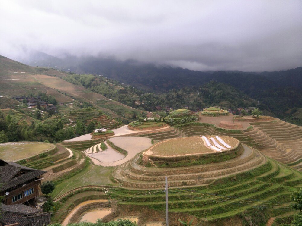 金坑梯田