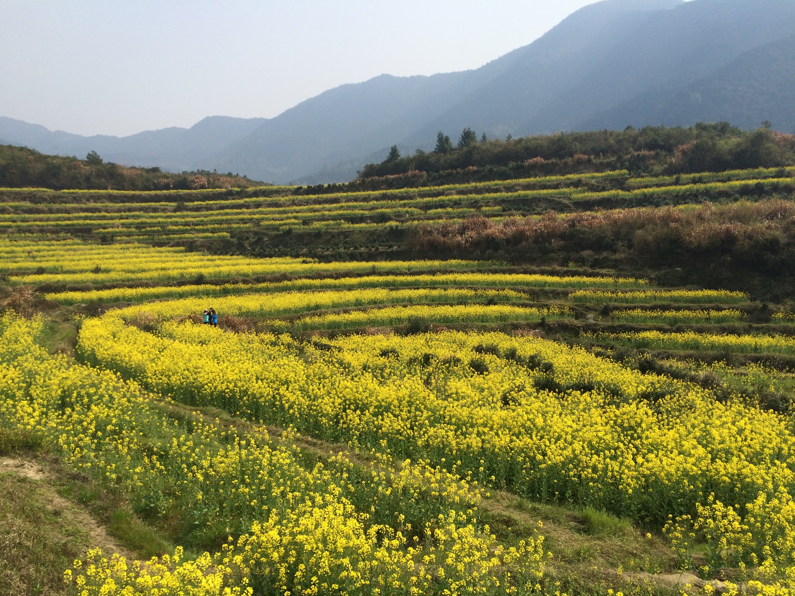 江岭景区