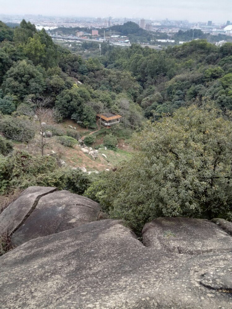 广州黄埔龙头山好玩吗,广州黄埔龙头山景点怎么样