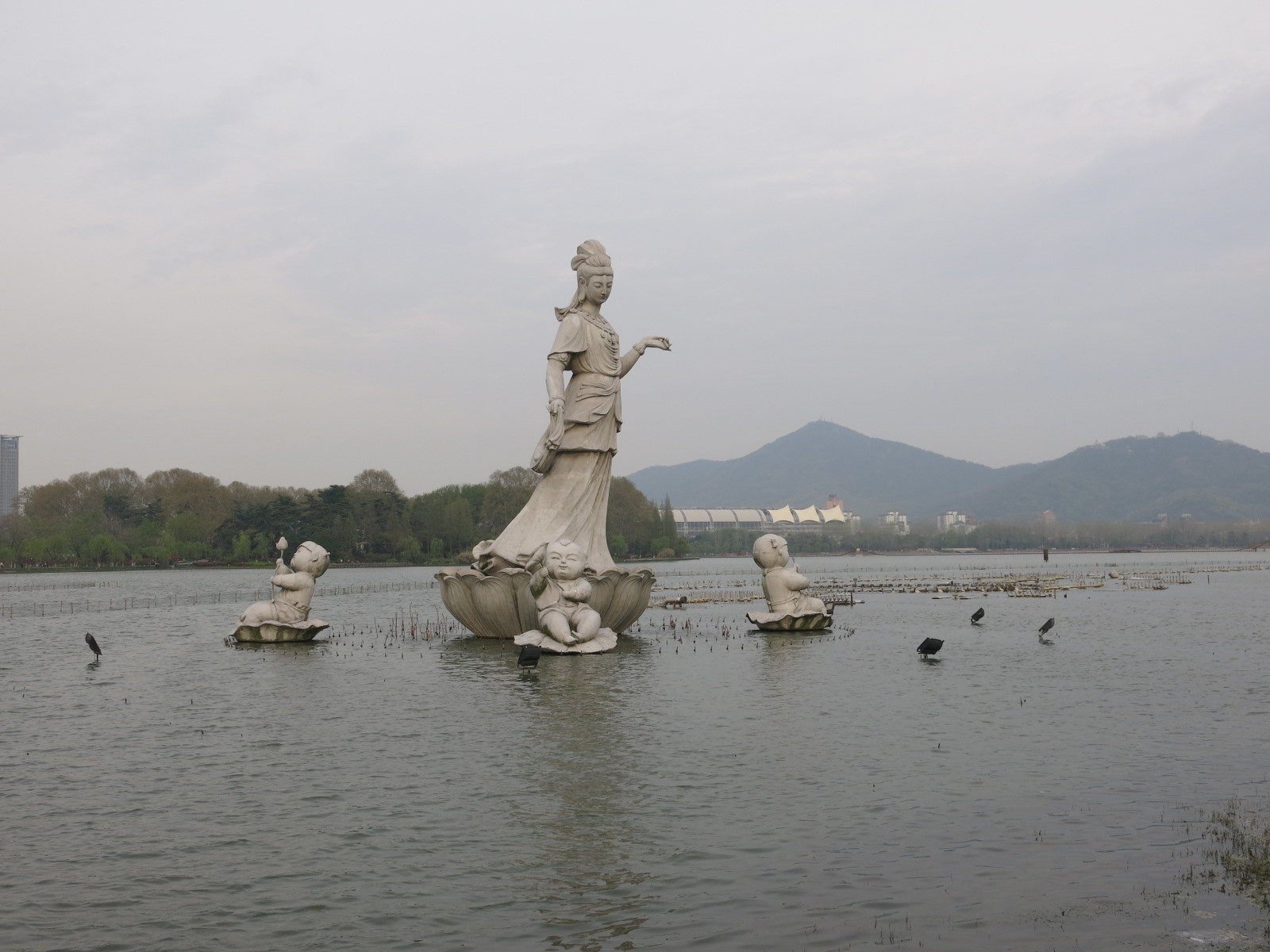 南京莲花广场好玩吗,南京莲花广场景点怎么样_点评