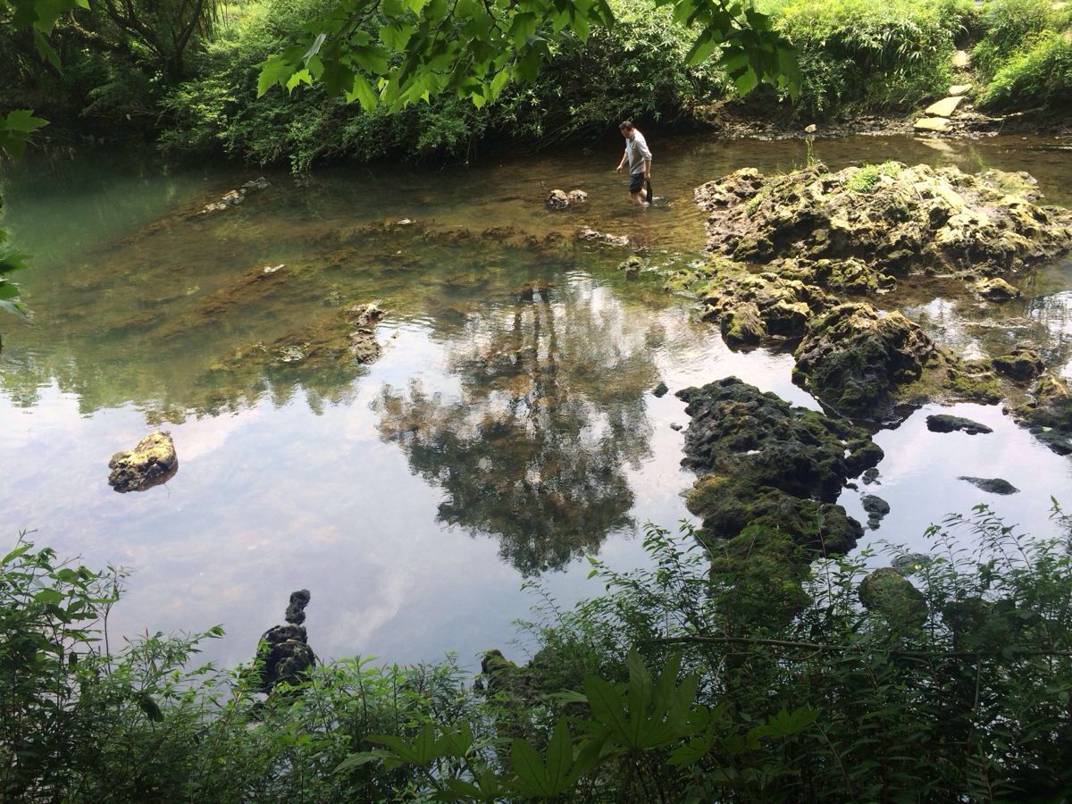 小车河城市湿地公园