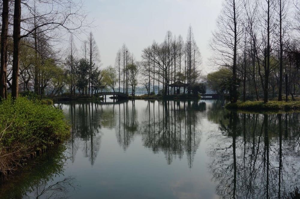 【携程攻略】杭州杨公堤景点,是与白堤,苏堤齐名的"三