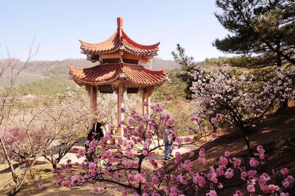 山花烂漫—青岛十梅庵