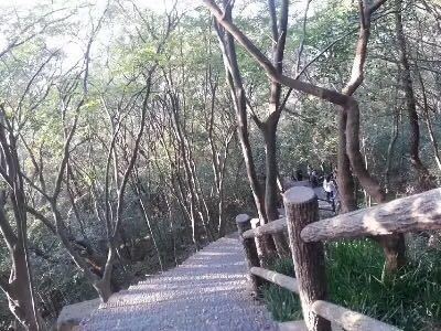 【携程攻略】南京紫金山天文台景点,南京紫金山,免费