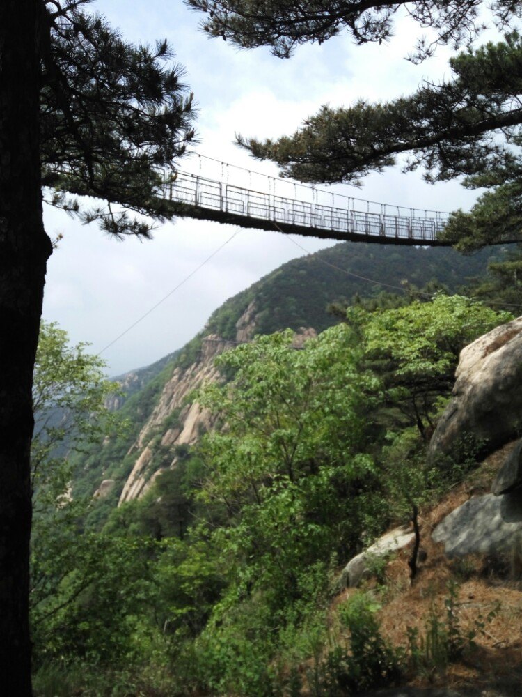                        蒙山风景