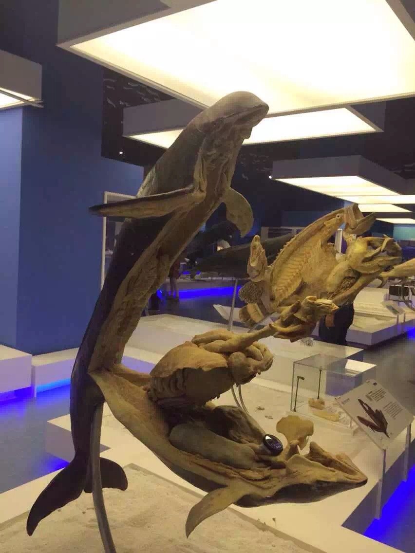 金石滩生命奥秘博物馆