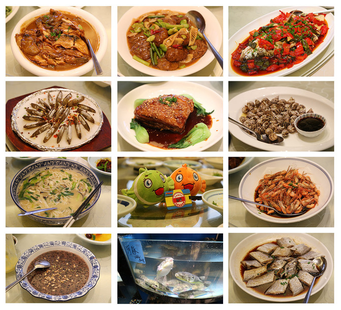 江苏沙溪:古镇金太仓(珠海美食,南园,金仓湖,an锦绣v古镇太仓隆长图片