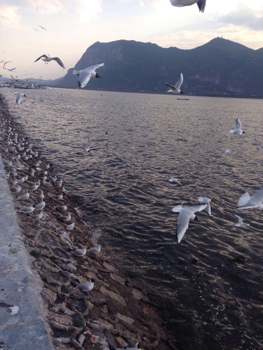 海埂公园
