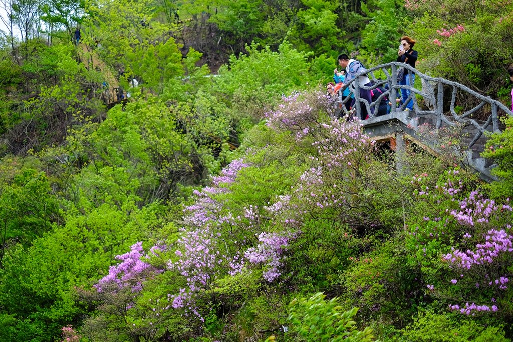 英山县天马寨风景区