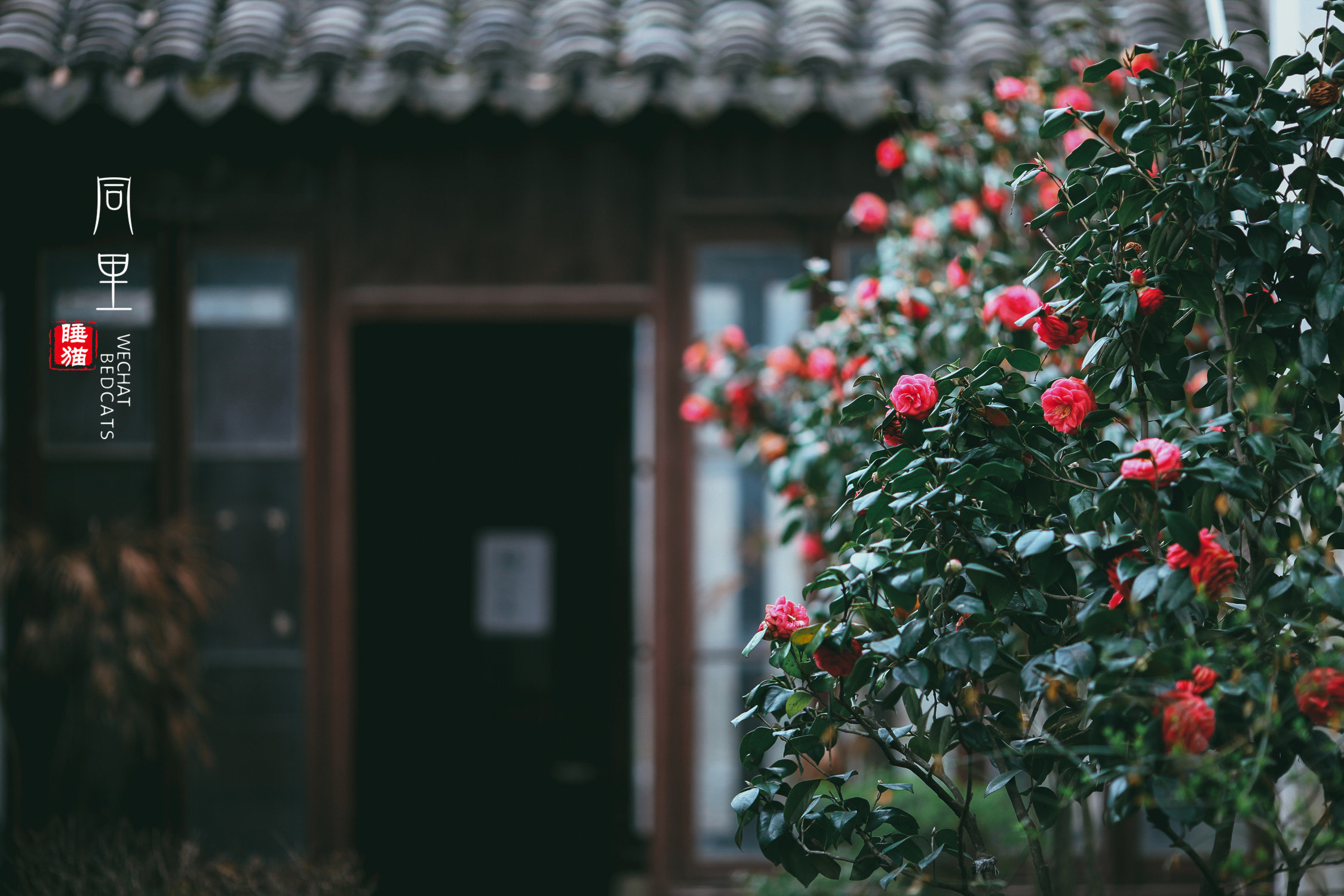 同里松石悟园好玩吗,同里松石悟园景点怎么样_点评_评价【携程攻略】