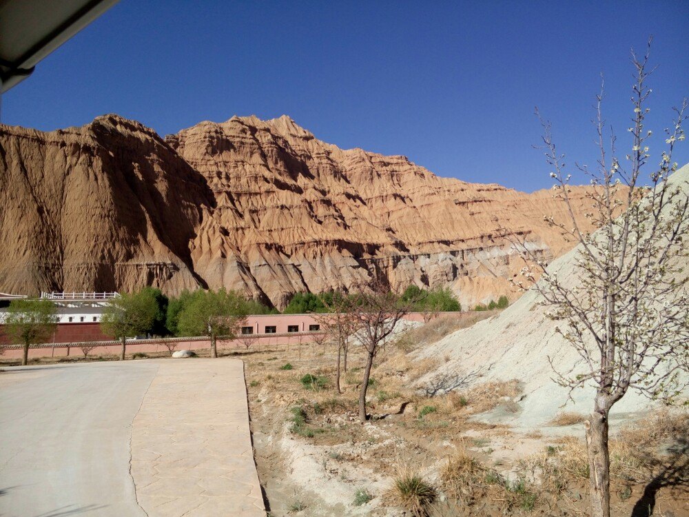 贵德国家地质公园阿什贡七彩峰丛景区