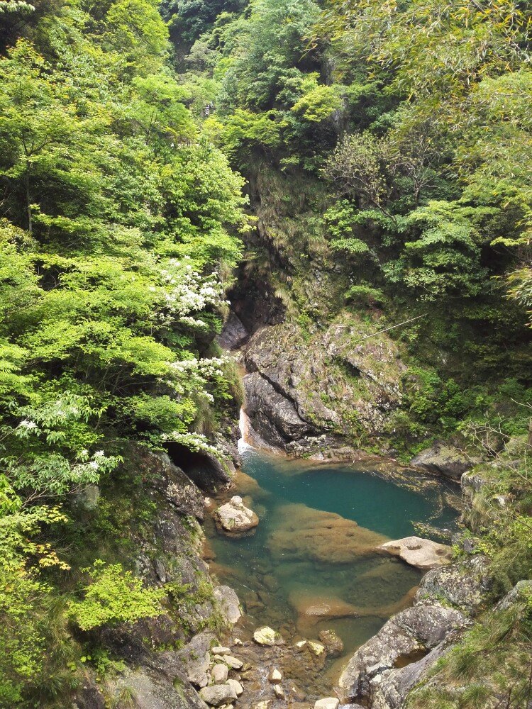 祁门牯牛降旅游景点攻略图