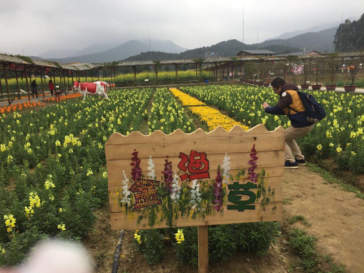高明盈香生态园