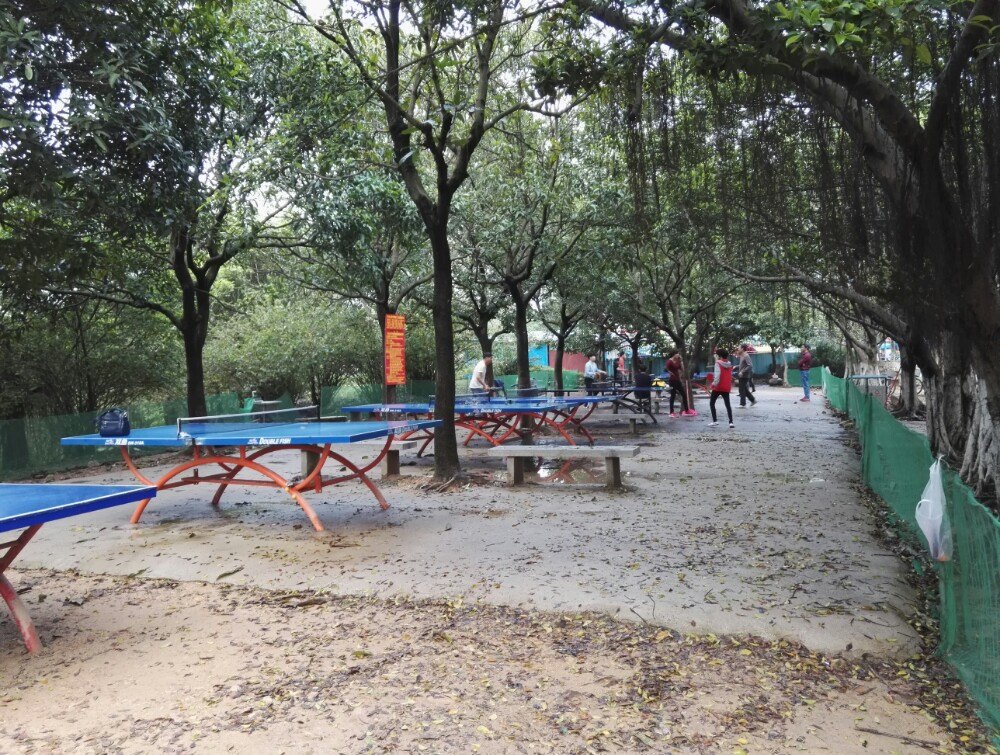 大夫山森林公园旅游景点攻略图