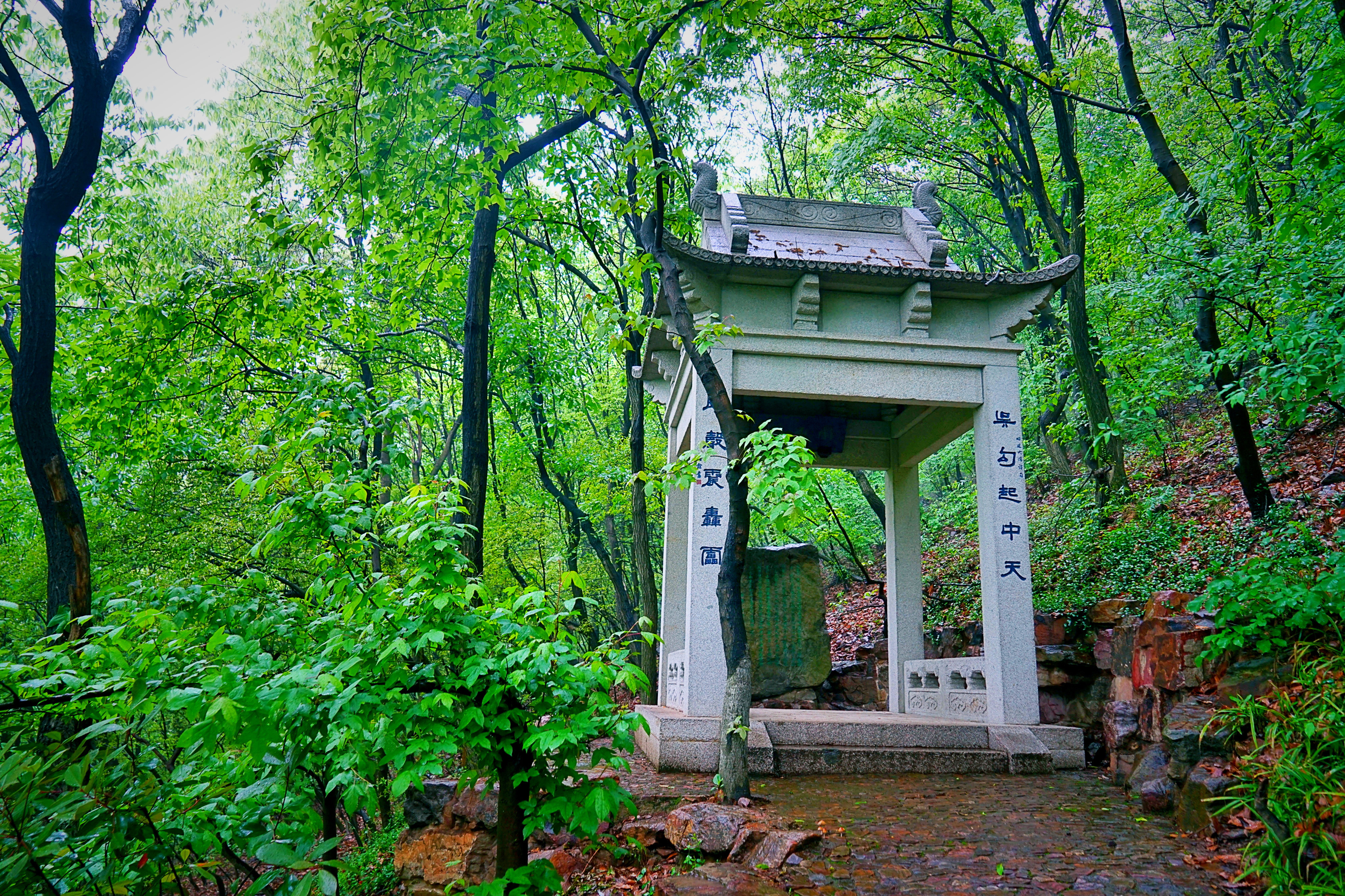 【携程攻略】常熟兴福寺景点,"清晨入古寺,初日明高林
