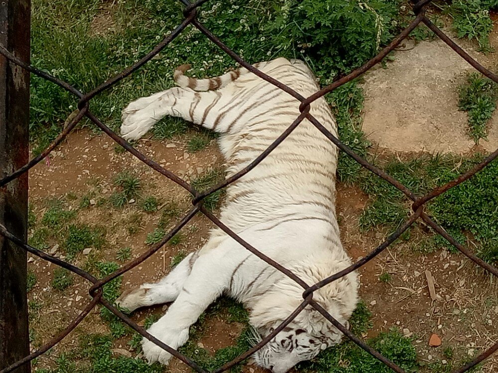 昆明动物园