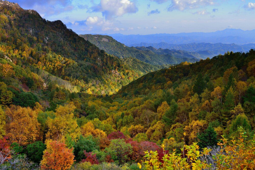 雾灵山