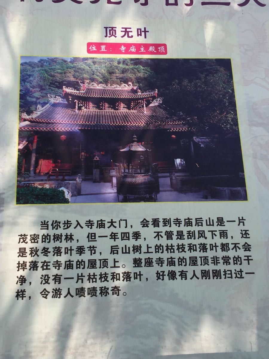 阴那山(灵光寺)