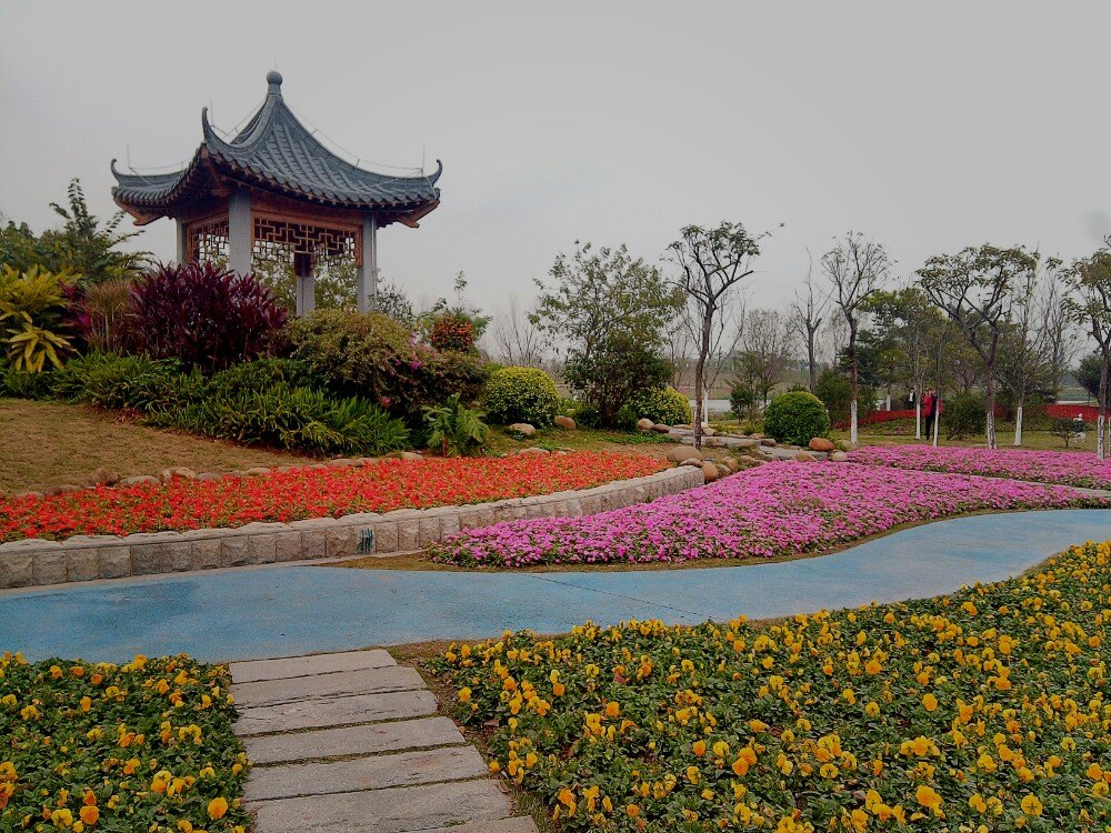 2019海珠湖公园_旅游攻略_门票_地址_游记点评,广州