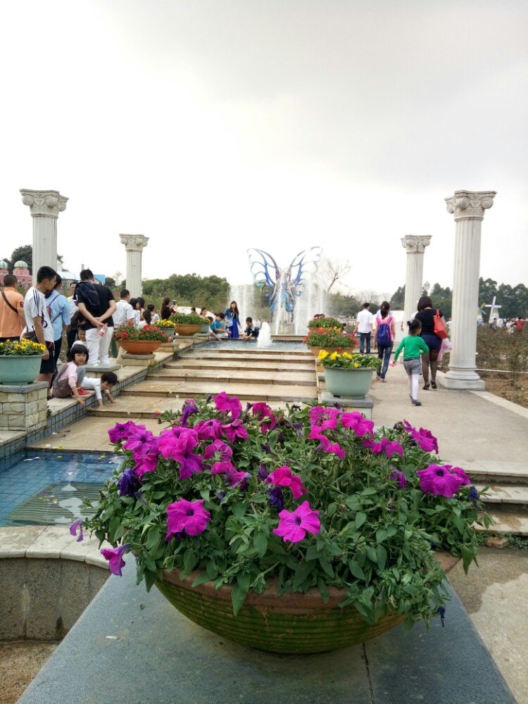 2019梦幻百花洲_旅游攻略_门票_地址_游记点评,东莞