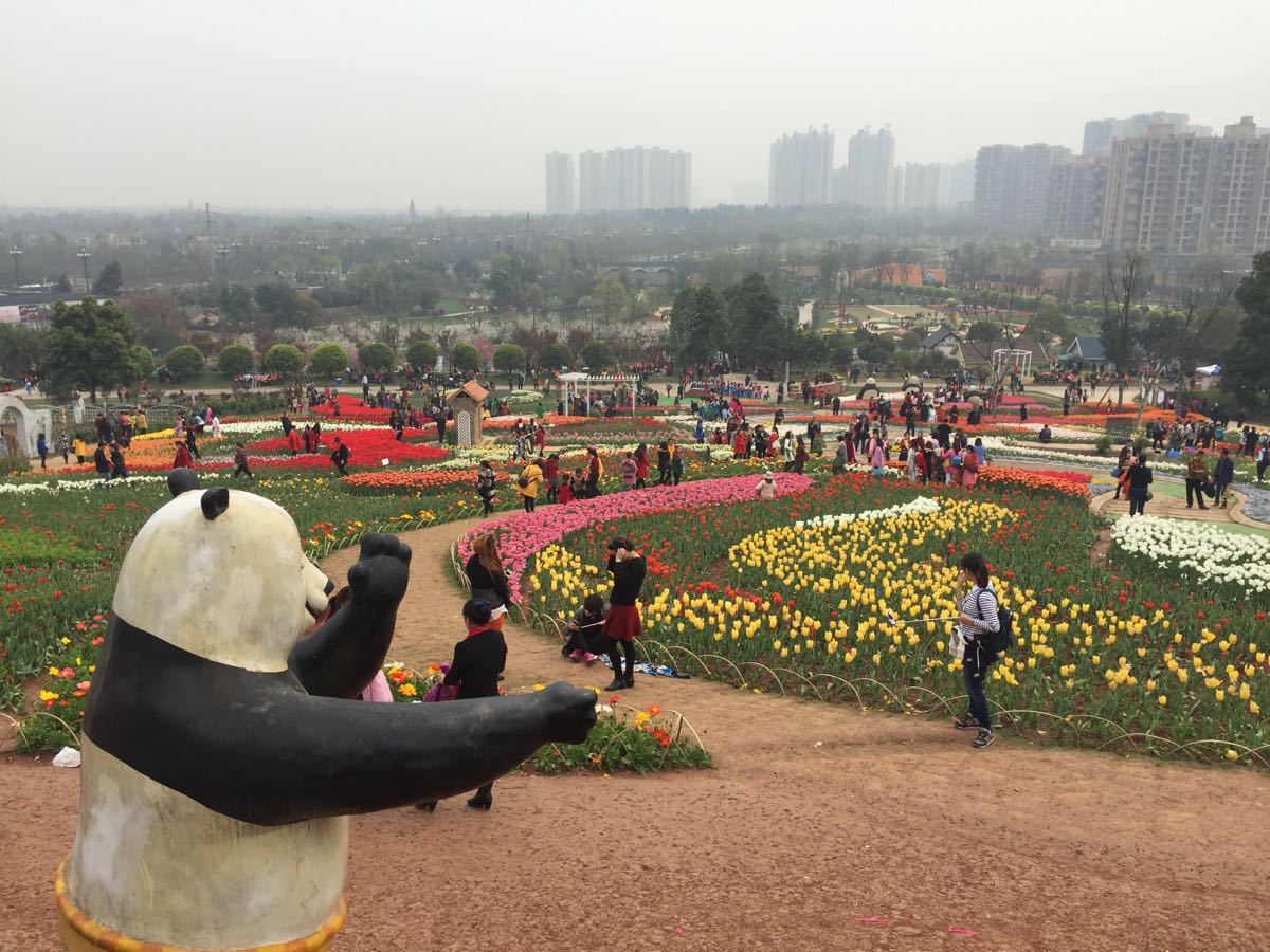 给我一篇漫花庄园日记(100字左右)