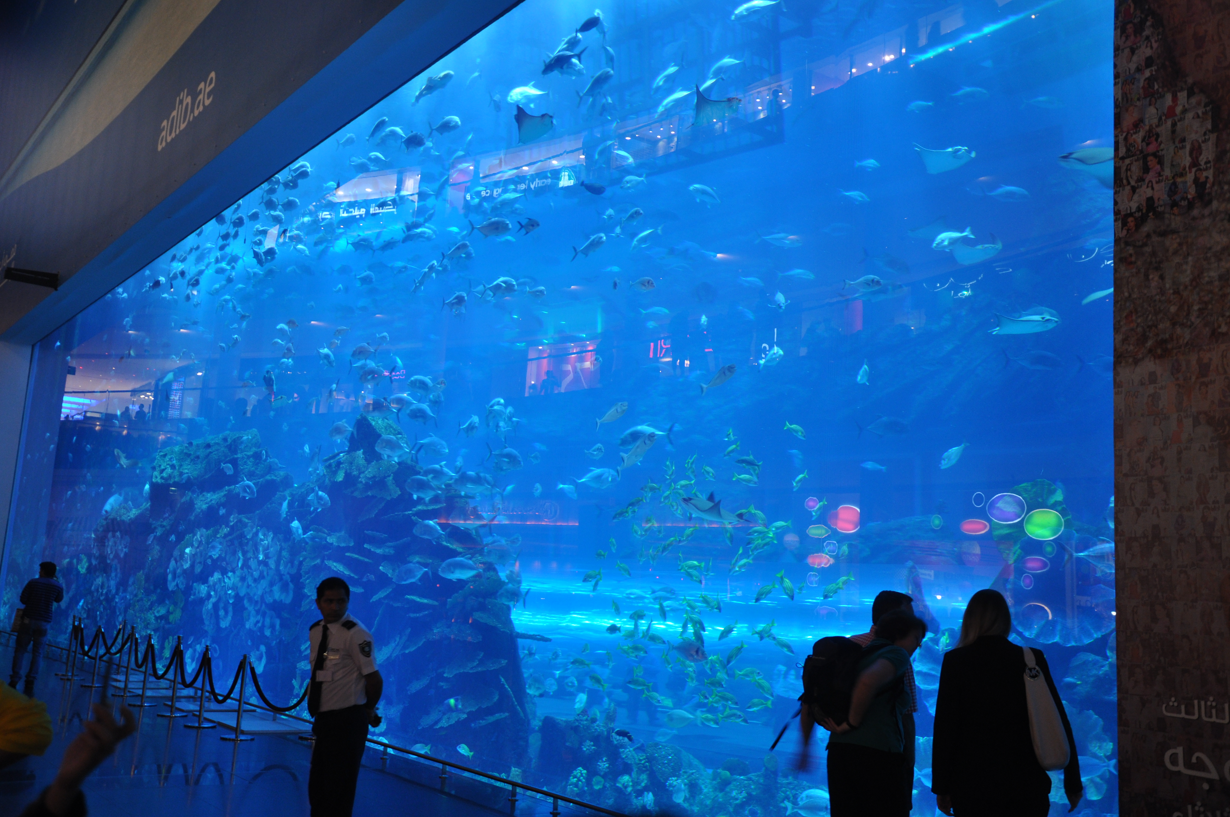 【携程攻略】迪拜迪拜水族馆和水下动物园景点.dubai mall中的海洋世