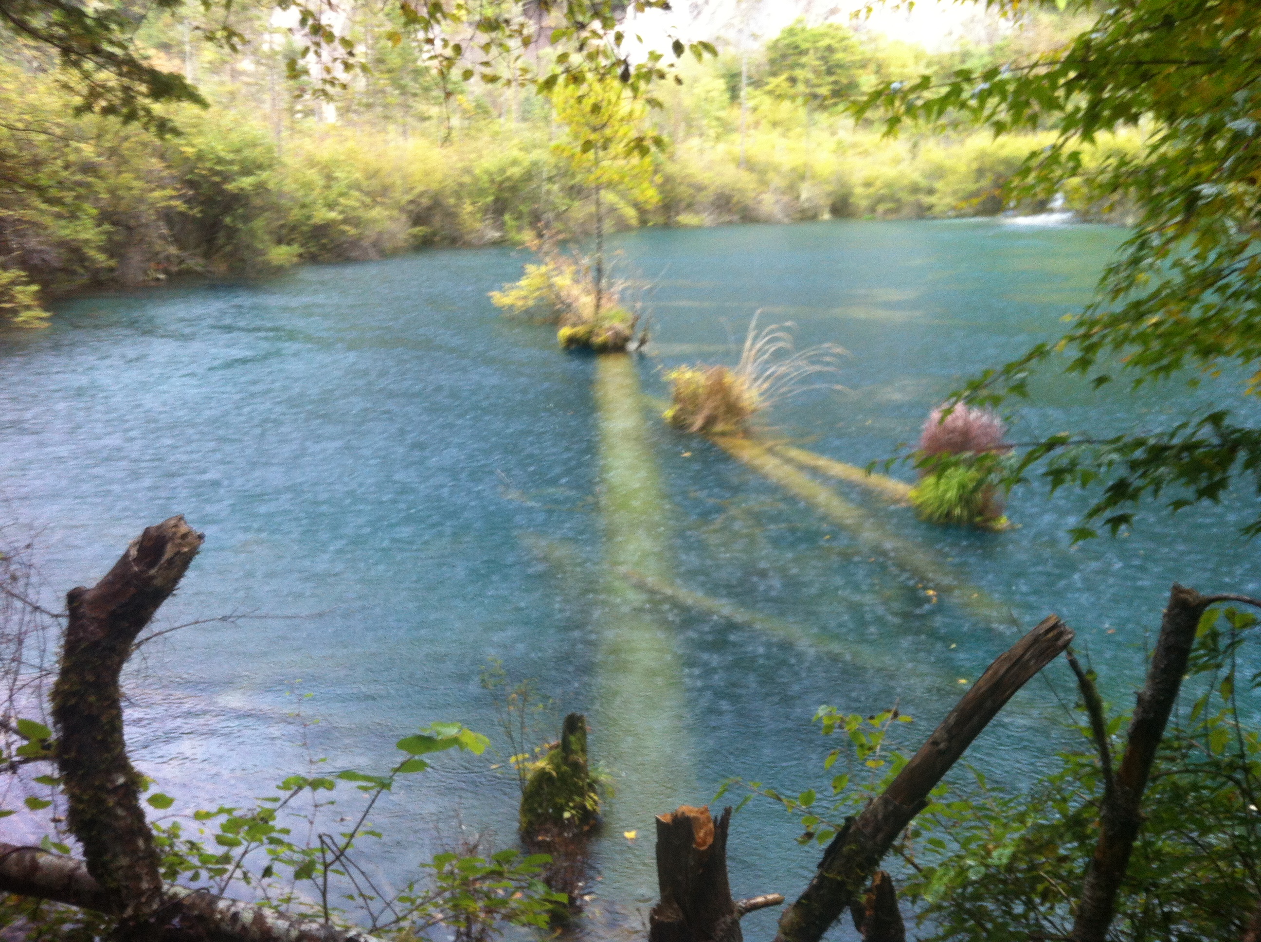 九寨沟风景区门票价格_九寨沟门票_九寨沟门