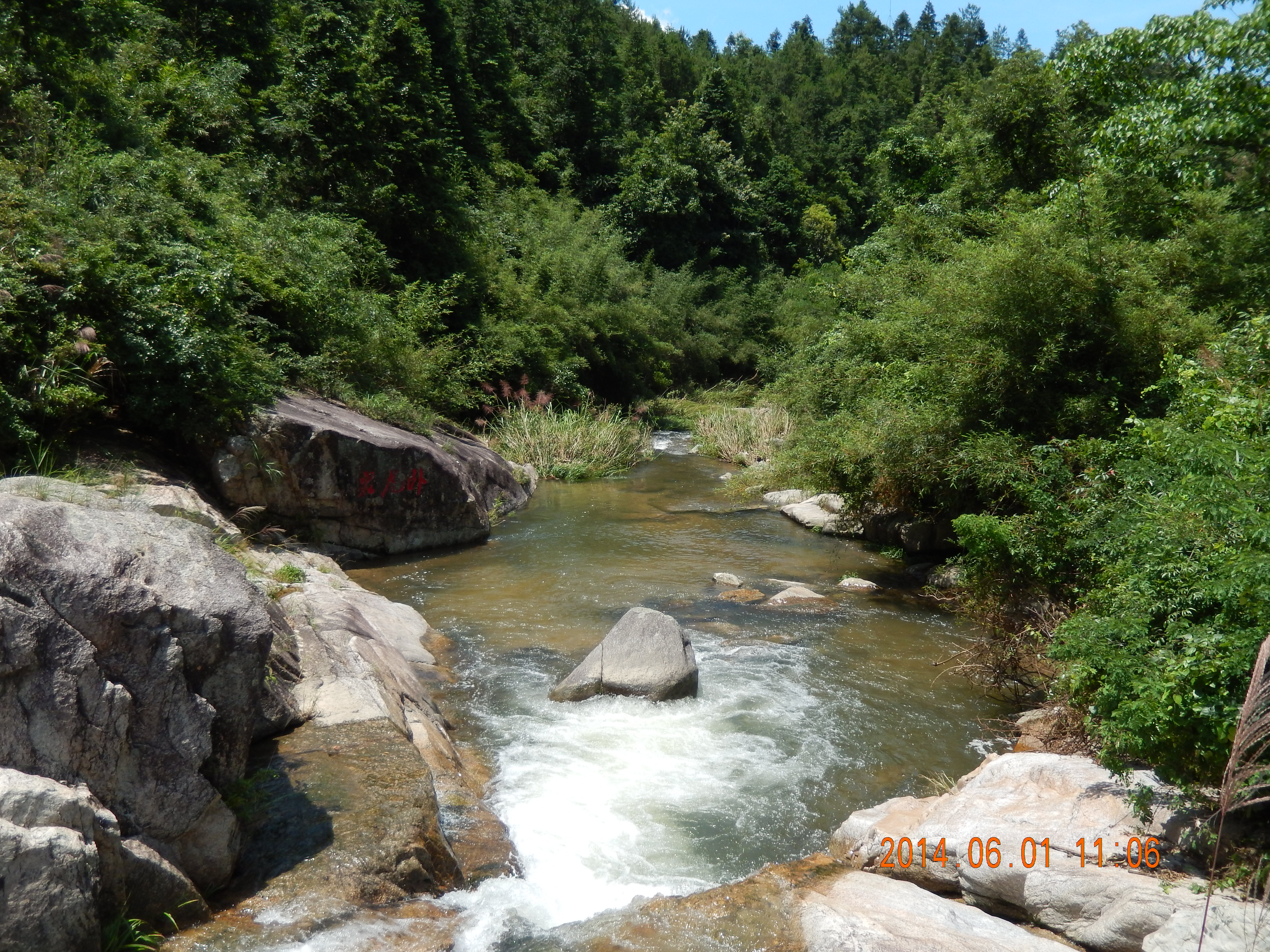 龙岩武平梁野山——有龙而武,平然狂野是也.