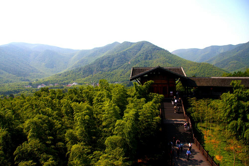 2020大唐贡茶院-旅游攻略-门票-地址-问答-游记点评,长兴旅游旅游景点